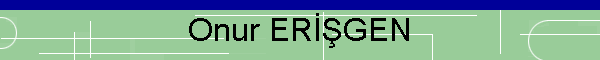 Onur ERGEN