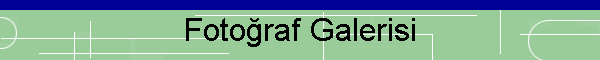 Fotoraf Galerisi