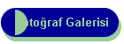 Fotoraf Galerisi